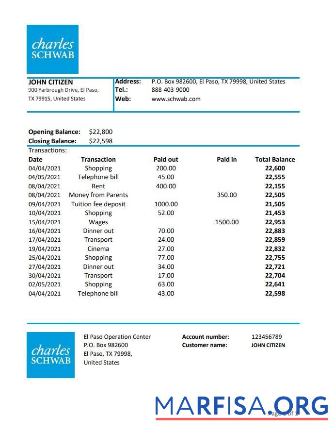Realistic USA Charles Schwab & Co bank statement excel example